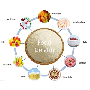 Food Grade Bovine Gelatin High Bloom Bovine Skin Edible Gelatin in Food Industry